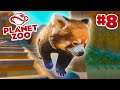 RED PANDAS! - Planet Zoo #8 w/ Vikkstar