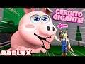 ROBLOX - La TRISTE HISTORIA de mi CERDITO GIGANTE 🐷 - Build and Survive