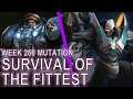 Starcraft II: Survival of the Fittest [Giving Amon a Chance]
