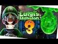 Welt der Wunder 🍟 Luigis Mansion 3 #014 🍟 Let's Play 🍟 4K