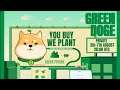 Greendoge finance on binance smart chain review what is green doge green crypto 如何购买绿色狗狗币 how to buy