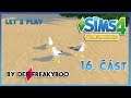 Let's Play - The Sims 4: Život na ostrově (část 16.) - Brzy nový dům! 🤩