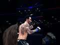Max Holloway UFC