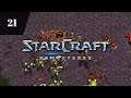 Starcraft Remastered | Protoss Kampagne | Mission 1 - Erstschlag