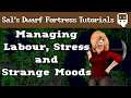 Dwarf Fortress Villains Tutorial: Managing Labour, Stress and Strange Moods