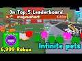 I Bought The Infinite Pet Gamepass And Became Top 4 Best Player In Roblox  Speed Champions