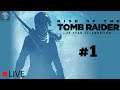 PS4 / Rise Of The Tomb Raider / #1 "Bienvenido a Trinity" / El Fer En Vivo