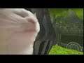 Cat Vibing to Ratchet & Clank's Unsolved Mystery