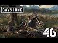 Drink Himself to Death-Let's Play Days Gone Part 46