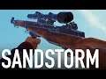 Insurgency Sandstorm - The M1 Garand, M110 SASS, And Bab