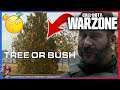WHY YOU CAN'T SHOOT THREW THIS BUSH ?? CALL OF DUTY: WARZONE