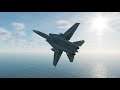 DCS F-14A Tomcat: Dogfight with Wingman