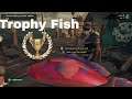 Sea Of Thieves : Catching Trophy Fish With Friendly Pirates