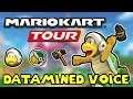 All Hammer Bro.'s Datamined Voice Clips - Mario Kart Tour
