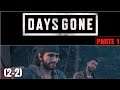 DIRECTO NOCTURNO | DAYSGONE | PARTE 1 (PS4)