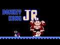 [NES] Donkey Kong Jr.