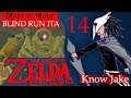 Zelda Breath of the Wild in Master Mode ITA #14 Nel Castello dalle segrete