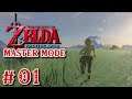 Zelda Breath of the Wild Master Mode Pt. 1