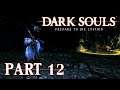 Dark Souls - Blobfox-Run [Mit Blobfox] - Part 12