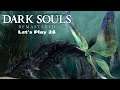 Der Mondlichtschmetterling  die große Leere und der Aschesee Let's Play 26 Dark Souls Remastered
