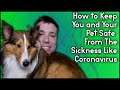 How to Keep You and Your Dog Safe From Illness Like The Coronavirus | MumblesVideos | Pupdate #48