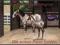 🐴Noble Horse Champion🐴 :#2 die ersten Paint Fohlen sind da😍+Gutscheincode Insta2000