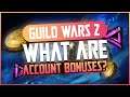 WHAT ARE ACCOUNT BONUSES? - Guild Wars 2