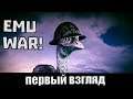 Emu War первый взгляд | Emu War! геймплей