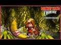 Road to Donkey Kong 64 ~ Donkey Kong Country Playthrough Part 2