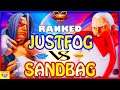 『スト5』Justfog (リュウ)  対 サンドバッグ (ダン)｜Justfog (Ryu) VS  SandBag(Dan) 『SFV』🔥FGC🔥