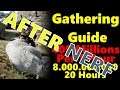 [After Nerf] 400 Millions Per Hour? Gathering Guide +Bonus :Black Desert Online