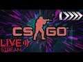 🔴 CSGO Live - saal ka akhri do din waste kare aoo!