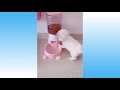 웃긴영상 귀여운 고양이, 강아지 Cute Pets And Funny Animals Compilation #36