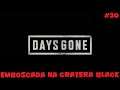 Days Gone - Emboscada da Cratera Black - 30