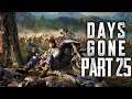 Days Gone - FLOW LIKE BURIED RIVERS - Walkthrough Gameplay Part 25
