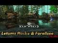 Letums Hacke & Forellsee | GAMEPLAY | NEW WORLD [BETA] #006 [DE/GER]