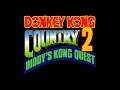 Stickerbush Symphony - Donkey Kong Country 2