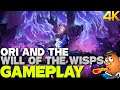 The Journey Begins | Ori and the Will of the Wisps 4K Gameplay