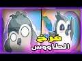 مغامرات بيرب الفرخ الراقص #1 🐔🎶 (🎵Songbird Symphony🎵)مترجم عربي