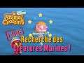 Animal Crossing New Horizons - Recherche des Créatures Marines en LIVE ! [Switch]