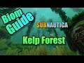 Biom Guide Subnautica  | Kelp Forest |