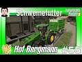 LS19 Hof Bergmann #55 Landwirtschafts Simulator 2019 #MZ80#