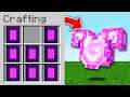 Minecraft, But There Are Custom Portal Items...