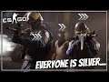 What ACTUALLY Happens In Counterstrike Silver Lobbies!