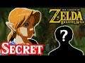 Breath of the Wild's Big Secret - Zelda Theory