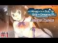 [ IS IT WRONG TO TRY TO PICK UP GIRLS IN A DUNGEON? INFINITE COMBATE ] Part #1 (Switch)
