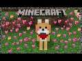 Minecraft PE Addon รีวิว - น้องหมา | Doggy Galore Addon