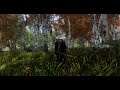 Skyrim SE | Relaxing Cinematic Short Film | Ultra Modded | Rudy Enb | +560 Mods