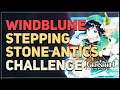 Stepping Stone Antics Genshin Impact