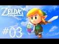 The Legend of Zelda: Link's Awakening (Switch) -- Part 3: The Castle and the Cavern